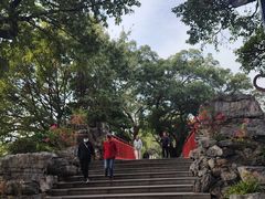 -荔湾湖公园