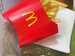 -麦当劳(塔园路店)