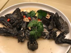 药膳鸡-沙龙酒家