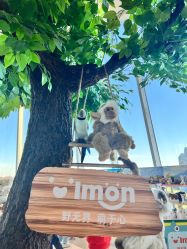 -IMON·HANSA潮玩玩偶毛绒玩具(通州万象汇店)