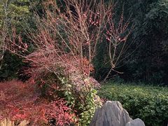 -菊花台公园