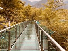 -陶祖圣境风景区