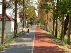 -上海长兴岛郊野公园