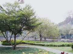 -晓港公园