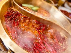 -小龙坎火锅(春熙太古里店)