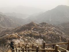 -大岭沟猕猴桃谷风景区