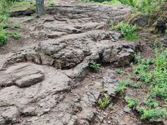 -磬锤峰森林公园