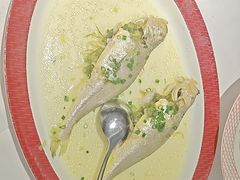 -圆苑(静安寺店)