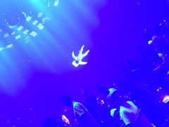 -STELLAR NIGHT CLUB星际酒吧(明发商业广场店)