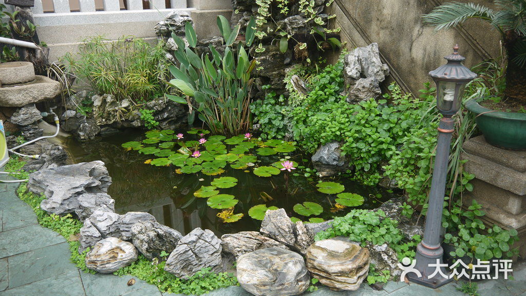 鼓山栖旅馆 院子里面的荷花池