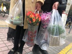 -秦美花卉(天朗·莱茵小城2期店)
