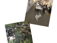 -先锋书店(五台山总店)