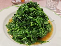 -阿莉餐厅(枣阳路店)