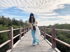 -北海金海湾红树林生态旅游区