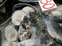 -元朗政府合署暨大桥街市