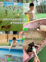 -萌宠亲子动物乐园(槐房万达店)