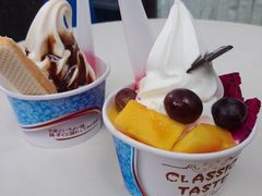 -Salud撒露欧洲冻酸奶(798艺术区店)