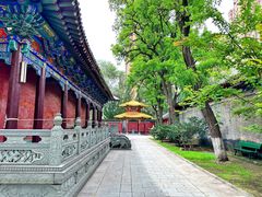 -护国法轮寺