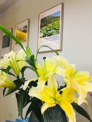 -FineYoga梵音瑜伽·普拉提