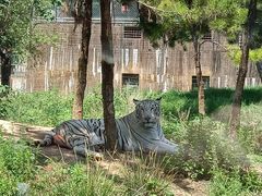 -五龙山野生动物王国