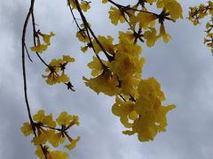 -风云岭森林公园