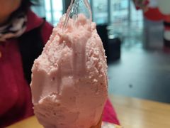 -野人先生现做冰淇淋(北京顺义祥云小镇店)