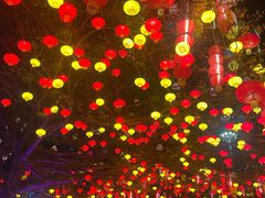 -厦门园林博览苑