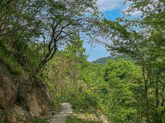 -素山寺森林公园