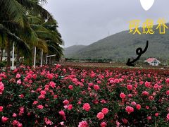 -鹿回头风景区