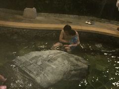 -天目湖涵田半山温泉