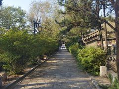 -爱新觉罗皇家博物院