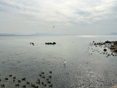 -深圳湾公园(南山区)