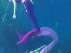 iphone_upload_pic-常州海昌海洋探索馆