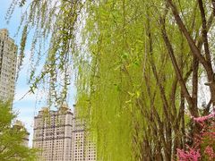 -群力丁香公园