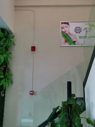 -苗医生草本科技祛痘