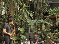 -Fern Forest Cafe
