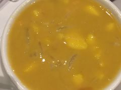 -食为先(Shark Fin)