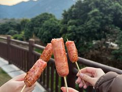 -银瓶山森林公园(谢岗镇)