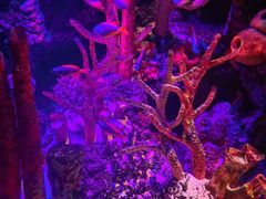 -沈阳海洋探索中心