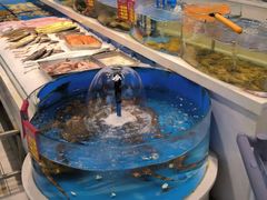 -北塘海鲜·天津菜(大光明桥旗舰店)