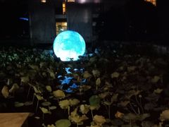 -绍兴鉴湖君澜大酒店