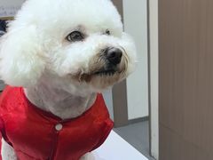 -派特宠物医院(圆融广场店)