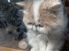 -济南轻骑摩托车有限公司(和平路)