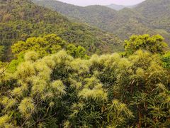-四会奇石河风景区