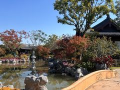 -江心屿景区