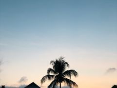 -亚龙湾海底世界
