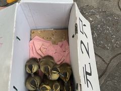 -柳侯公园