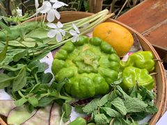 -缘生态云南菜·野生菌庭院餐厅(华侨城店)