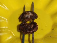 -烤肉小伙烤肉店