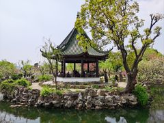 -无锡蠡湖国家湿地公园-蠡园
